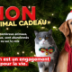 Campagne Hiver 2025 SPA de Lyon "Non à l'animal cadeau"