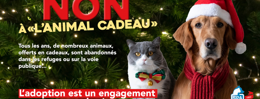 Campagne Hiver 2025 SPA de Lyon "Non à l'animal cadeau"