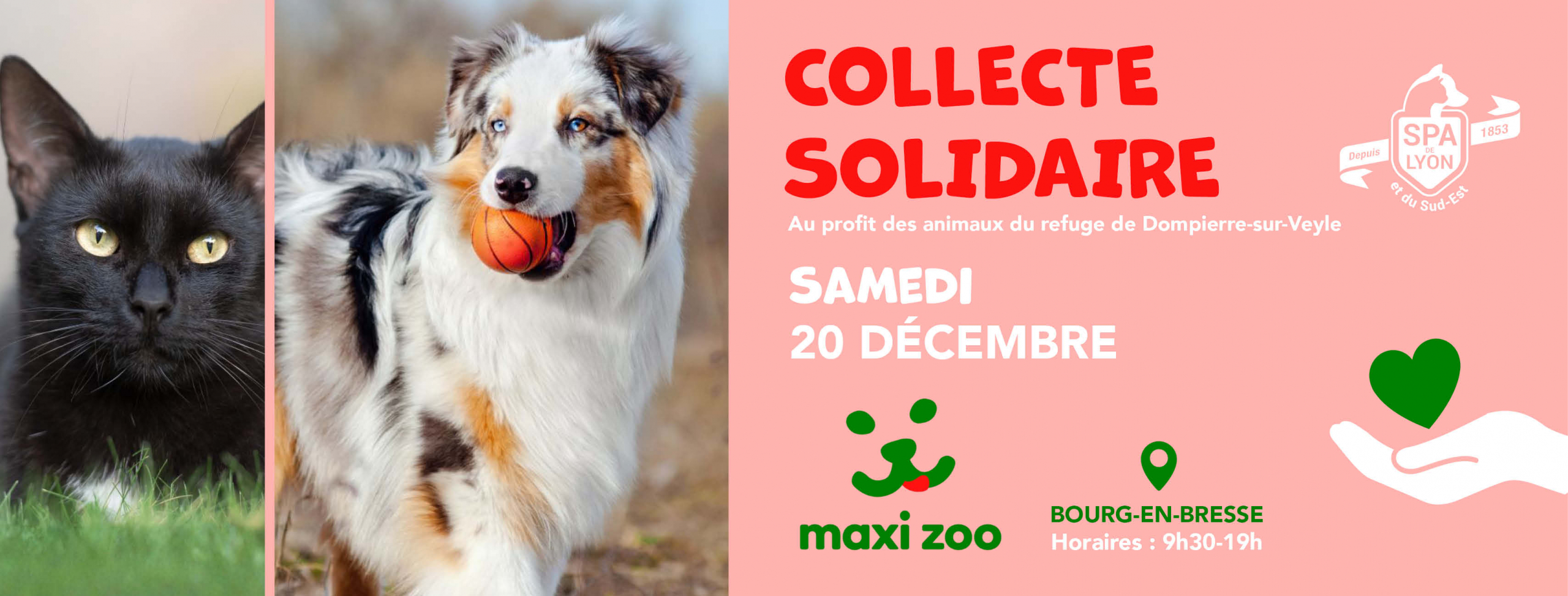 Spa Bourg En Bresse Chien Adopter