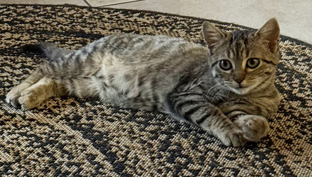 Photo de Kaya qui a grandit