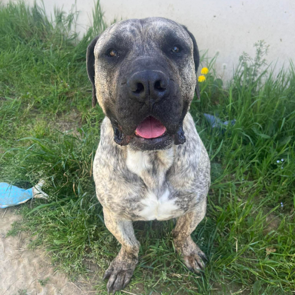 PAQUITO