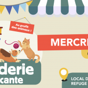 Visuel braderie SPA Lyon du 6 mai 2026