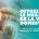 Campagne stérilisation identification SPA de Lyon