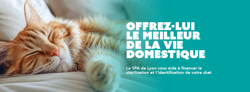 Campagne-sterilisation-banniere Campagne stérilisation identification SPA de Lyon