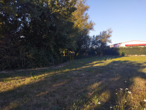 petit bois refuge Brignais